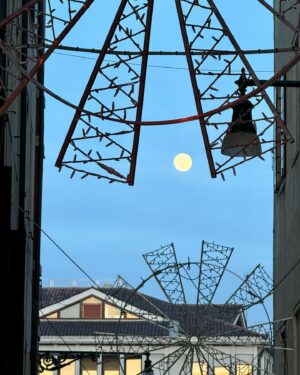 Sandra Cisneros Instagram - Full moon mediation tomorrow (Thursday) at 10 pm CT in honor of the Wolf Moon. Please join from wherever you are. Photo by #timoteotrigo in Venice.