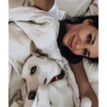 Sandra Nováková Instagram - Ranní dávka terapie❤️ #LOVE #malina #nekupujadoptuj #utulkac #nase #utulekbouda #milujemete #dogoftheday #doglover @utulekbouda