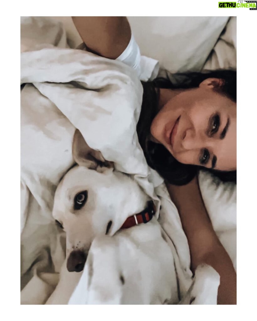 Sandra Nováková Instagram - Ranní dávka terapie❤️ #LOVE #malina #nekupujadoptuj #utulkac #nase #utulekbouda #milujemete #dogoftheday #doglover @utulekbouda