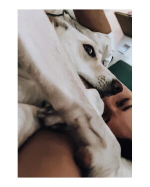 Sandra Nováková Instagram - Ranní dávka terapie❤️ #LOVE #malina 

#nekupujadoptuj #utulkac #nase #utulekbouda #milujemete #dogoftheday #doglover @utulekbouda