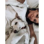 Sandra Nováková Instagram – Ranní dávka terapie❤️ #LOVE #malina 

#nekupujadoptuj #utulkac #nase #utulekbouda #milujemete #dogoftheday #doglover @utulekbouda