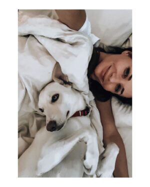 Sandra Nováková Instagram - Ranní dávka terapie❤️ #LOVE #malina 

#nekupujadoptuj #utulkac #nase #utulekbouda #milujemete #dogoftheday #doglover @utulekbouda
