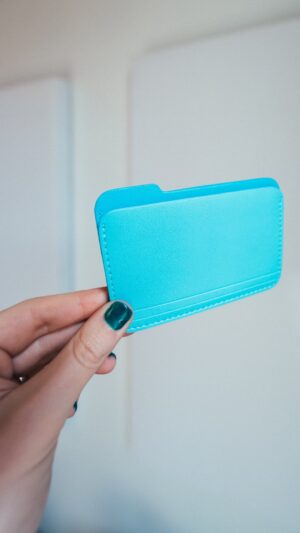 Sara Dietschy Instagram - My new wallet 🤓 @nikbentel