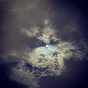 Sara Gilbert Instagram - 