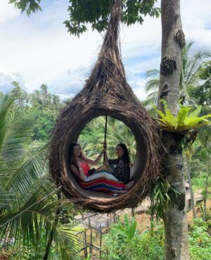 Sara Malakul Lane Instagram - Tree-pod 🌳