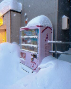 Sarah Bonito Instagram - Have you ever seen snow like this? 
雪がこんなに積もってるの見たことある？！