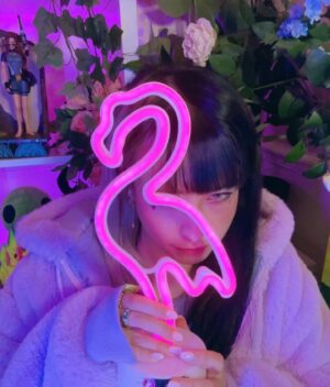Sarah Bonito Instagram - Behind every flamingo there’s a girl who sings about flamingos…