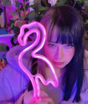 Sarah Bonito Instagram - Behind every flamingo there’s a girl who sings about flamingos…