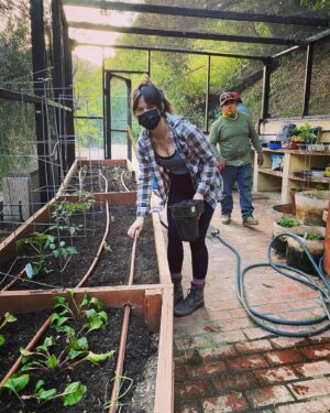 Sarah Butler Instagram - Back at it! Designed and built this enclosure for @michellekashmusic and we’re gearing up for her second season of fresh grown veggies! #vegetablegarden #homegarden #gardenenclosure #urbanfarm #growwhatyoueat