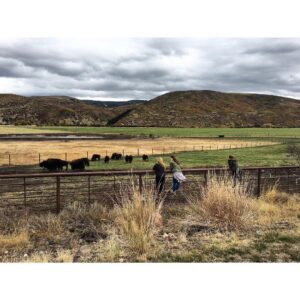 Sarah Lancaster Instagram - The Great Wide Open 🍂