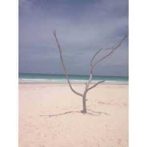 Sarah Lancaster Instagram - Harbor Island #pinksand