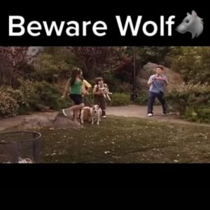 Sarah Ramos Instagram - To the children I am simply the generational talent who played Isabella the werewolf on Wizards of Waverly Place 🫡 It’s called taste, glamour, gravitas, range, and Hollywood history dahling