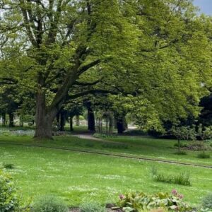 Sarah Roemer Instagram - Dortmund, what a beautiful springtime you have at Westfalen Park. 🇩🇪 

#westfalenpark #dortmund #germany #springtime 💐