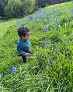 Sarah Beeny Instagram - One gorgeous Great Nephew Freddie blending in with one of my fav flowers in the world!!! What a joy to see!! I LOVE Spring!!! @livylemareka a little bundle of delight!! Xxx #bluebell