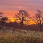Sarah Beeny Instagram - Morning everyone!! Blimey Mother Nature on fire today!!! X #sunrise