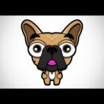 Sarah Harding Instagram - Guess who who's back?! @yogisnap1 #headwear that's who!!!😝🤘🏻👅🙌🏼🕶😍 Am pleased to announce my range will be making a comeback as from 4pm tomorrow...check out our new #official #website @yogisnap.com for more #info and to see the goods 😜....with a very #special #exclusive and #limitededition version ready to fly so don't miss out if you're already a #Yogisnap #fan!!!❤️❤️❤️ #snap #hats #summer #winter #trapper #frenchie #frenchbulldog #love #yogi 🐶