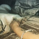 Sarah Harding Instagram - Motherly love ❤️😌💩😅🐶❤️ #frenchie #frenchbulldog #bestfriend #unconditional #love ❤️😌❤️👌🏼