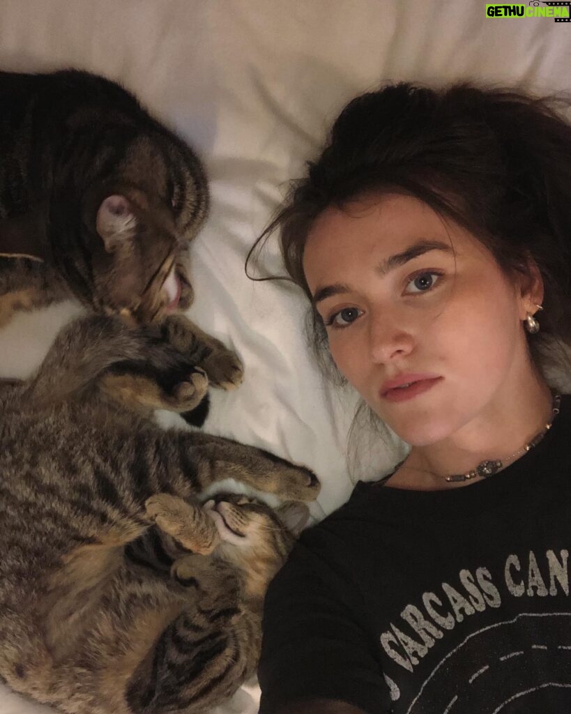 Sarah Pidgeon Instagram - My New Year’s kisses. We’re a throuple. @minnow @tinkywinky