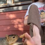 Sarah Pidgeon Instagram – Been doing this every morning. Squirrel’s name is Toes, for obvious reasons