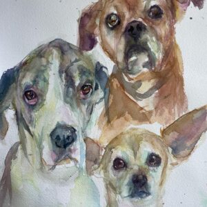Sasha Spielberg Instagram - Still painting pets, still without pet www.bysashy.com (vinyl in bio, gotcha)