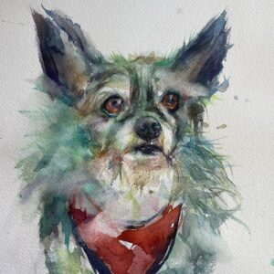 Sasha Spielberg Instagram - Still painting pets, still without pet www.bysashy.com (vinyl in bio, gotcha)
