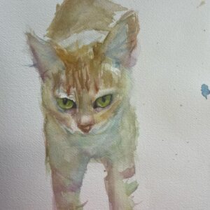 Sasha Spielberg Instagram - Still painting pets, still without pet www.bysashy.com (vinyl in bio, gotcha)