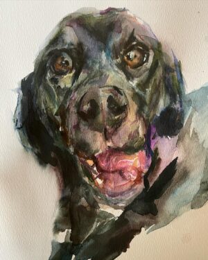 Sasha Spielberg Instagram - Happy National Dog Day, I don’t have dogs anymore so I paint yours ! I love them all!