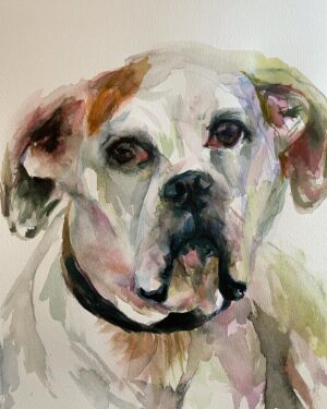 Sasha Spielberg Instagram - Happy National Dog Day, I don’t have dogs anymore so I paint yours ! I love them all!
