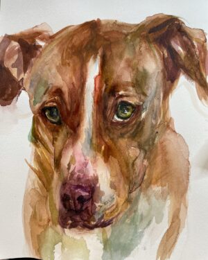 Sasha Spielberg Instagram - Happy National Dog Day, I don’t have dogs anymore so I paint yours ! I love them all!