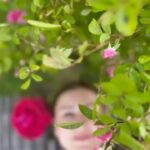 Sawsan Arsheed Instagram - كيف أخسر إيماني بعدل الحياة ،وأنا أعرف أن أحلام الذين ينامون على الرّيش ليست أجمل من أحلام الذين ينامون على الأرض . جبران خليل جبران #love #springtime #mygarden #peace #earth #goodsunday☀️ #happiness #syrianactress #france