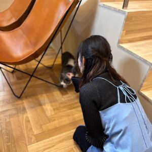 Saya Ichikawa Instagram - 「建もの探訪」のお正月スペシャル！渡辺篤史さんとさらば青春の光の森田さんと一緒に素敵な住宅を巡らせていただきました。
⁡
外壁素材を褒めすぎてなかなか建物の中に入らない渡辺さん、そしてつっこみまくる森田さん。楽しい時間でした。

そして！
明後日(8日)成人の日は、JWAVEのホリデースペシャル「京都芸術大学 presents WHAT’S ART」をお送りします。今年で三年目！9時間の生放送、がんばります
お時間許す方ぜひぜひ。メールもお待ちしてやす
⁡
渡辺篤史の建もの探訪
さらば森田＆市川紗椰　建もの大好き芸能人ＳＰ
1月7日 あさ6:00～7:00
⁡
JWAVE   FM COCOLO HOLIDAY SPECIAL「京都芸術大学 presents WHAT’S ART 2024」
1月8日　9:00〜17:55

⁡
#衣装 は
#トップス　@aic_official
#キャミワンピース　@baumundpferdgarten
#パンツ  @aoiwanaka.official
#ブーツ  @alm._official
#シルバーリング　@porettofelun_jewelry
#クォーツリング
@bellis_jewerly_official
#リング @maaa_jewelry
#特別出演　
#猫のアルちゃんさん　
#相手にされない　
#でも癒し