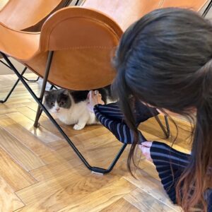 Saya Ichikawa Instagram - 「建もの探訪」のお正月スペシャル！渡辺篤史さんとさらば青春の光の森田さんと一緒に素敵な住宅を巡らせていただきました。
⁡
外壁素材を褒めすぎてなかなか建物の中に入らない渡辺さん、そしてつっこみまくる森田さん。楽しい時間でした。

そして！
明後日(8日)成人の日は、JWAVEのホリデースペシャル「京都芸術大学 presents WHAT’S ART」をお送りします。今年で三年目！9時間の生放送、がんばります
お時間許す方ぜひぜひ。メールもお待ちしてやす
⁡
渡辺篤史の建もの探訪
さらば森田＆市川紗椰　建もの大好き芸能人ＳＰ
1月7日 あさ6:00～7:00
⁡
JWAVE   FM COCOLO HOLIDAY SPECIAL「京都芸術大学 presents WHAT’S ART 2024」
1月8日　9:00〜17:55

⁡
#衣装 は
#トップス　@aic_official
#キャミワンピース　@baumundpferdgarten
#パンツ  @aoiwanaka.official
#ブーツ  @alm._official
#シルバーリング　@porettofelun_jewelry
#クォーツリング
@bellis_jewerly_official
#リング @maaa_jewelry
#特別出演　
#猫のアルちゃんさん　
#相手にされない　
#でも癒し