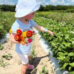 Scarlett Hefner Instagram – Flower picking, baby animals & cake pops. We celebrated Betsy’s move up to her new class at daycare with a trip to the Farm. 🐷🍭🐐💐