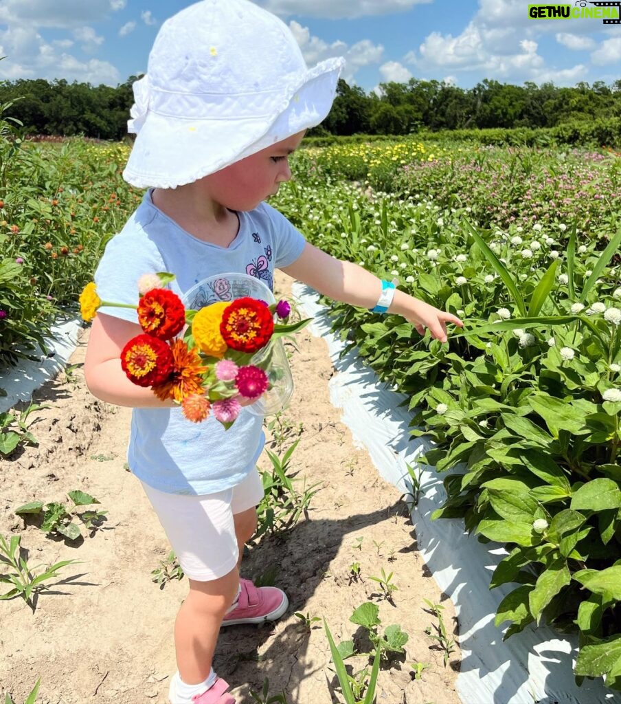 Scarlett Hefner Instagram - Flower picking, baby animals & cake pops. We celebrated Betsy’s move up to her new class at daycare with a trip to the Farm. 🐷🍭🐐💐