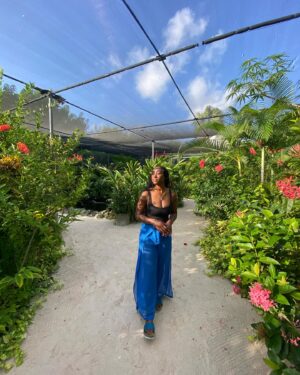 Scarlette Douglas Instagram - Wishing I was back at @butterflyfarmaruba, meditating, taking in the sounds and sights and being still 🦋🦋🦋