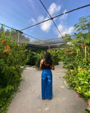 Scarlette Douglas Instagram - Wishing I was back at @butterflyfarmaruba, meditating, taking in the sounds and sights and being still 🦋🦋🦋