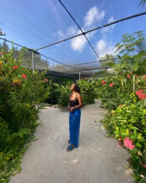 Scarlette Douglas Instagram - Wishing I was back at @butterflyfarmaruba, meditating, taking in the sounds and sights and being still 🦋🦋🦋