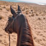 Sea3p0 Instagram - 🐎🐎🐎