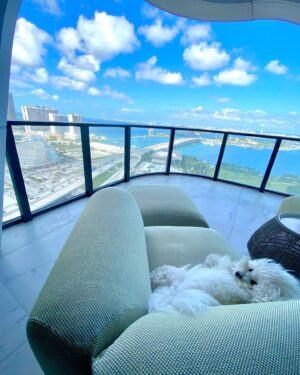 Sela Ward Instagram - Ollie is mesmerized by the view. ⛅️