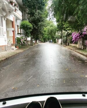 Selen Uçer Instagram - 🌳 Tek kanallı TV dönemini hatırlayan kuşak bilir. Bi problem olduğu zaman manzara görüntüsü konurdu ekrana. O öğretiden devam bu pazar 😵‍💫🪴#tbs