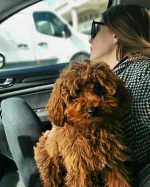 Selen Soyder Instagram - My baby