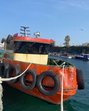 Selin Dumlugöl Instagram - On tane yetmiyor artık