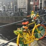 Selin Genç Instagram – Kısa günün karı gibi #dump #amsterdam 🤸