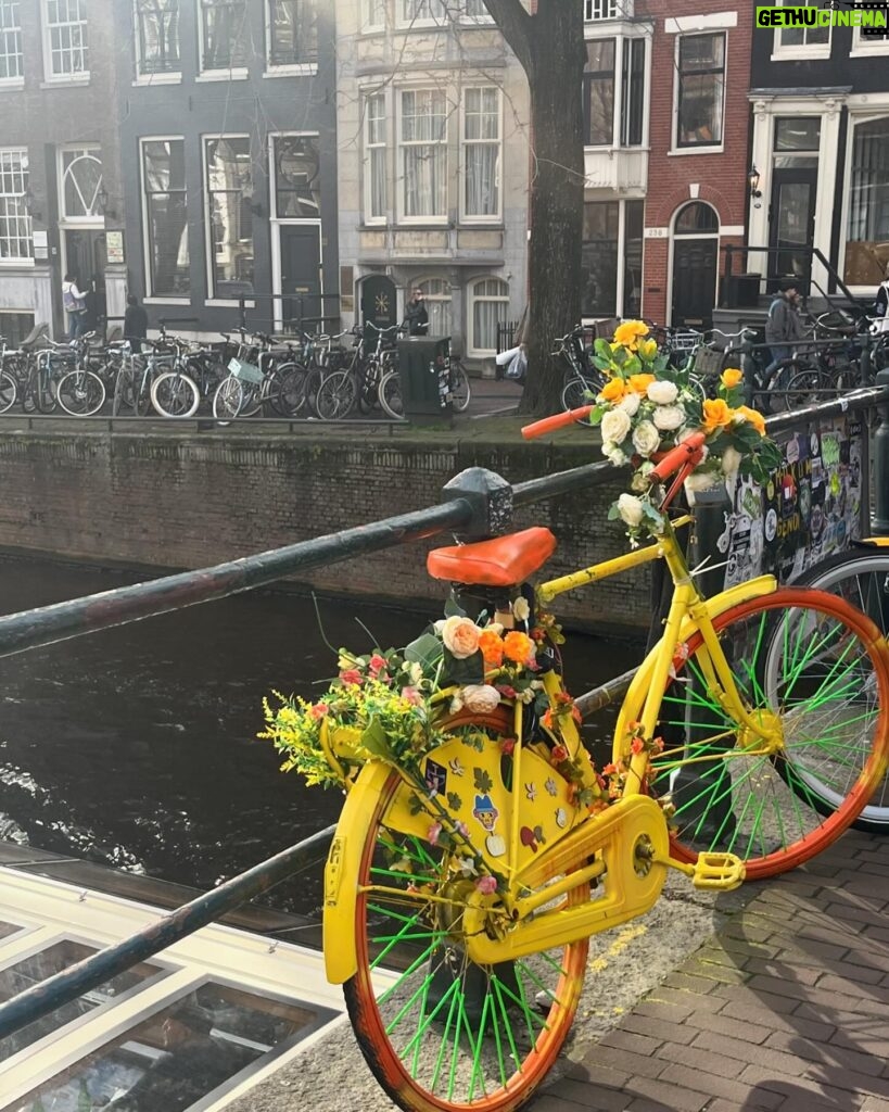 Selin Genç Instagram - Kısa günün karı gibi #dump #amsterdam 🤸