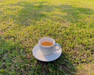 Seo Shin-ae Instagram - 🌿👒☕️🪿