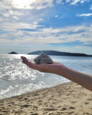 Seo Shin-ae Instagram - 🌊🐚🌿☕️
