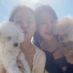 Seo Yu-na Instagram - #뇸뇸챌린지 with @yn_s_1230 @jjong_cream 카메라 액정 안닦은 서유리ㅜ 반성해 😑
