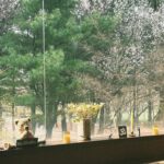 Seo Yu-na Instagram - _ 3월의 끝자락 🧶🌼🤍 ,