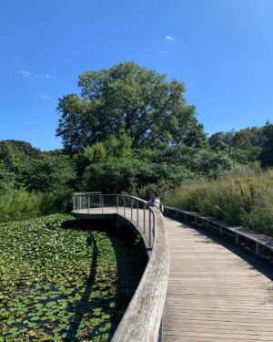 Seren Şirince Instagram - #brooklynbotanicgarden