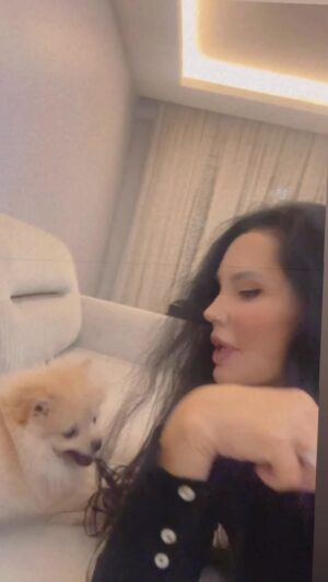 Serpil Çakmaklı Instagram - Hepinize güzel bir akşam diliyorum.  _  güzel bir akşam  yemeğinden sonra keyifli dakikalar  Evimizin neşesi latte saçlarıma kafayı takınca  bakın neler yaşanıyor .Bakalım bu güzel oğlumuza kaç beğeni gelicek.#pomerian #pomerianworld #istanbul #izmir #antalya #fethiye #eskişehir #bodrum #marmaris #mardin #serpilçakmaklı #tatil #saç #catsofinstagram #pomeriansofinstagram#mutlupazarlar #aşk#reelsinstagram #marina24